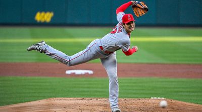 Shohei Ohtani Eclipsed an Incredible Babe Ruth Record Tuesday Night