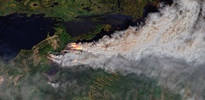 Forest fires: North America's boreal forests are burning a lot, but less than 150 years ago