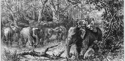 How English women wrote about their travels in the 19th century