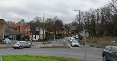 Cannabis farm shut down as more than 100 plants found after fire alarm