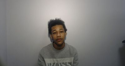 Teen who caused 'utterly needless' death of dad in unprovoked chase jailed