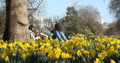 Met Office shares fresh verdict on 25C May UK heatwave predictions