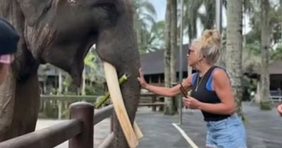 Woman bitten by ELEPHANT whose arm cracked inside its mouth during pic needs $10,000 surgery