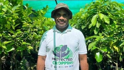 Protected cropping projects in the Pacific uplifting the lives of farmers and their communities