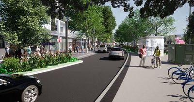 Alfresco dining and more trees: $1.9 million upgrade for Hunter Street
