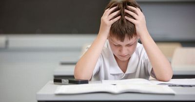 Calls for SATs exams to be axed after children 'left in tears'