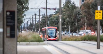Services resume after pedestrian hit by light rail