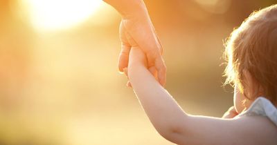 Plans for residential home in quiet village approved despite local concerns