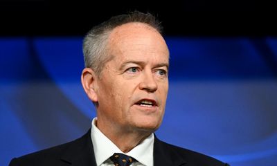 Labor’s $15bn NDIS savings push sparks concerns of service cuts