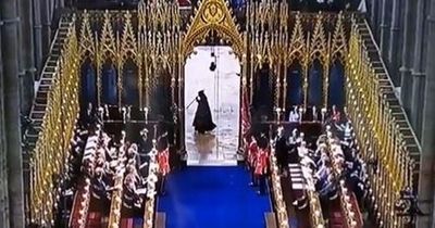 King Charles Coronation's 'Grim Reaper' mystery figure is finally explained following royal fans' confusion
