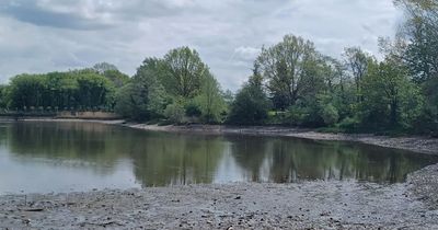 Reason for low water level at lake at Shipley Country Park on Nottinghamshire border