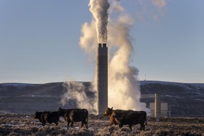 EPA releases proposal for limiting power plant carbon emissions - Roll Call