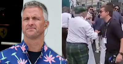 Ralf Schumacher "brutally pushed" by F1 security as Jenson Button also collared