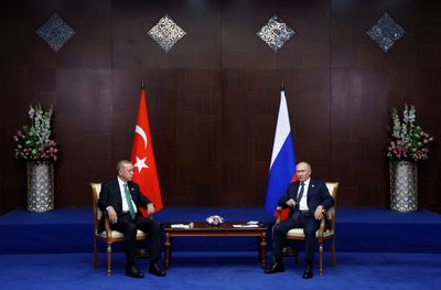 Putin could speak with Erdogan about Black Sea grain deal - Kremlin