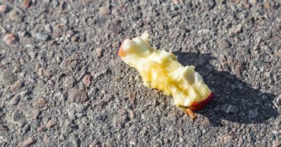 Drivers warned over little-known fines including £80 penalty for throwing apples out window