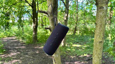 JBL Flip 6 Bluetooth Speaker review: Size matters not