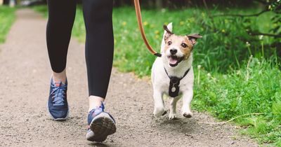 Woman's fury as landlord scorns her for not wearing a bra on dog walk