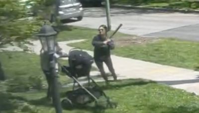 Woman charged in bat attacks struggles with mental illness, her family says