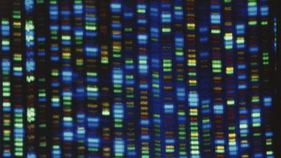 Human genome reboot better reflects global population