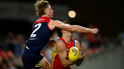 Melbourne's Jacob van Rooyen free to play after successful AFL appeal