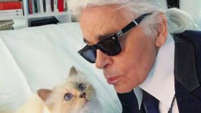 The Mysterious Mr Lagerfeld review: it’s all very frivolous, but great fun