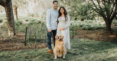 Couple let their dog make big life decisions including naming their baby