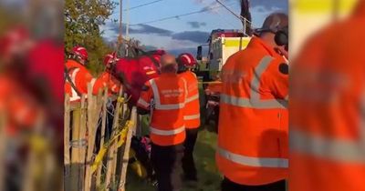 Watch: Amazing moment terrified spaniel swallowed by 50ft sinkhole winched to safety by fire crew