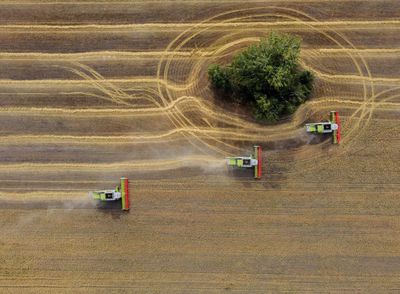 Explainer-Have Western sanctions on Russia impacted its wheat exports?