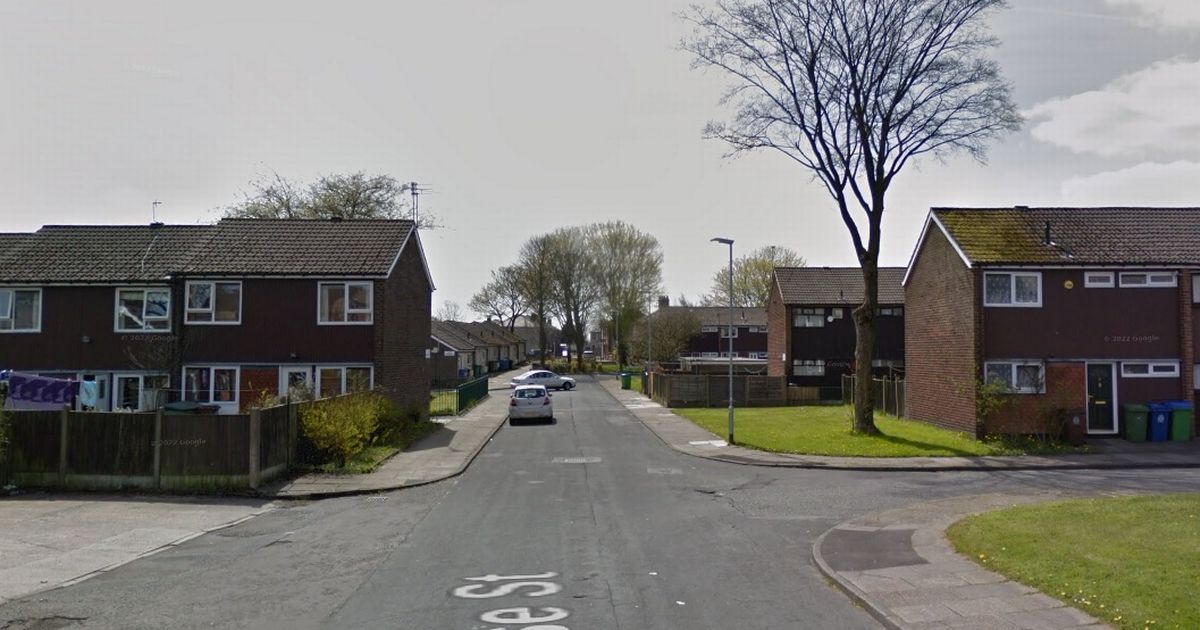 Knifewielding gang smash through windows of home in…