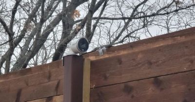 'My neighbour built a 9ft fence and installed a camera to spy into my backyard'