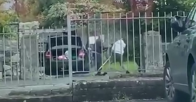 Disturbing footage shows two men swinging pitchforks at one another in Longford
