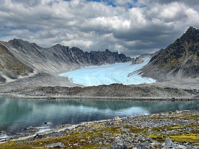 These Hardy, Arctic-Dwelling Microbes Can Break Down Plastic with Little Energy