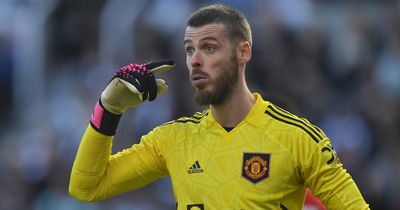 Dwight Yorke worries Man Utd may be making a big mistake with David de Gea replacement