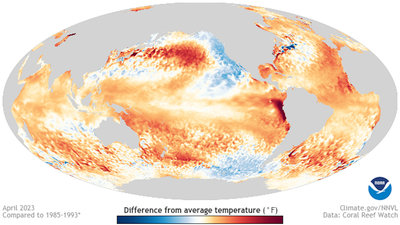 A "potentially significant" El Niño is rapidly developing, NOAA warns
