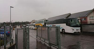 Falkirk school bus consultation shows majority against proposed changes