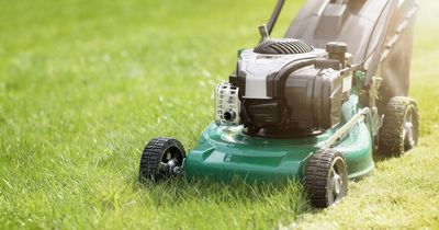 Moment neighbour threatens to call cops on gardener for ‘making too much noise’