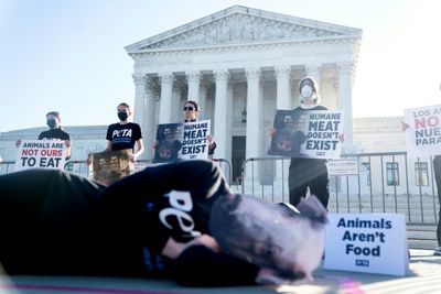 Pigs notch animal cruelty win at US Supreme Court