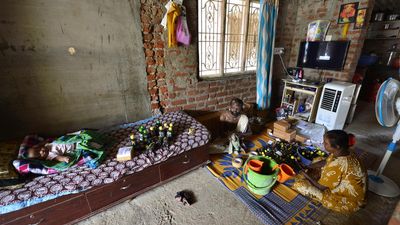 Hakki Pikkis — bird catchers to entrepreneurs of traditional medicine