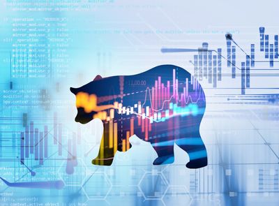 No.1 Tech Stock to Own in a Bear Market