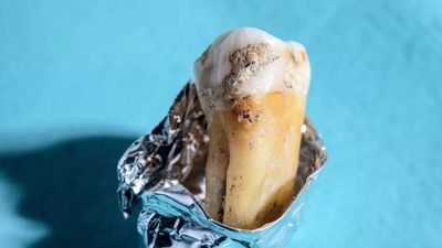 'Lost' bacteria found on Neanderthal teeth could be used to develop new antibiotics