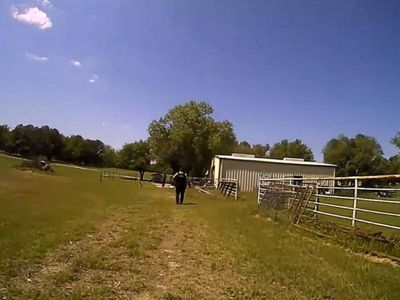 Watch police search for a man crying for help and instead find a distressed goat