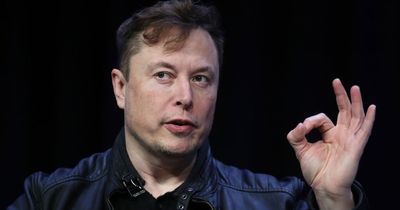 Elon Musk to step down as Twitter CEO as billionaire says he's hired a new female boss