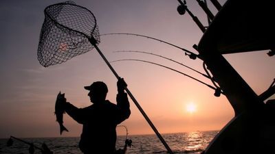 Fishing Tournament Duo Receives Jail Sentences After Pleading Guilty to Cheating