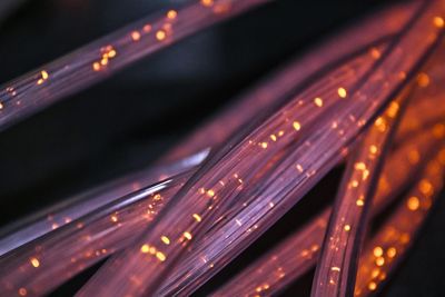 Don’t Build Networks to Nowhere: Staying on Track in Broadband Funding