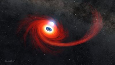 Black hole shreds star in a cosmic feeding frenzy that has astronomers thrilled