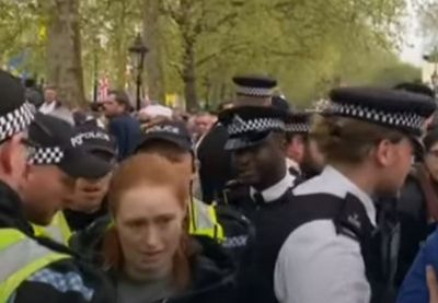 Royal superfan arrested for standing near Just Stop Oil protesters misses coronation