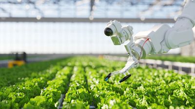 Researchers create robot capable of cleaning your room and doing your laundry