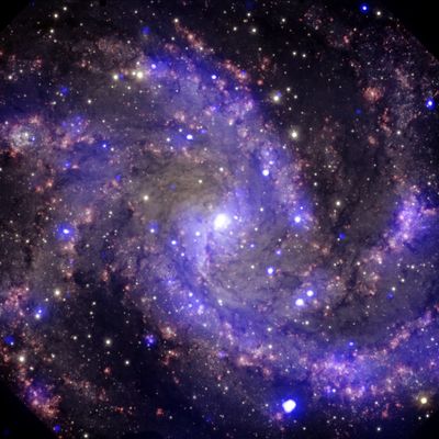 Astronomers identify largest cosmic explosion ever observed