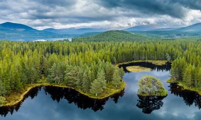 Scotland considers annual laser scan to monitor health of forest and peatlands