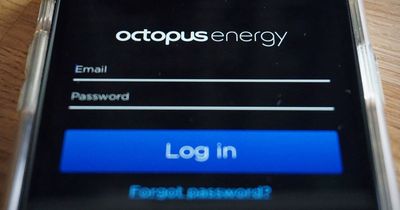 Octopus Energy issues major new account update to 75,000 Bulb customers